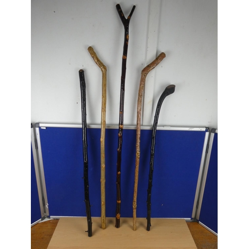 139 - An assortment of walking sticks.