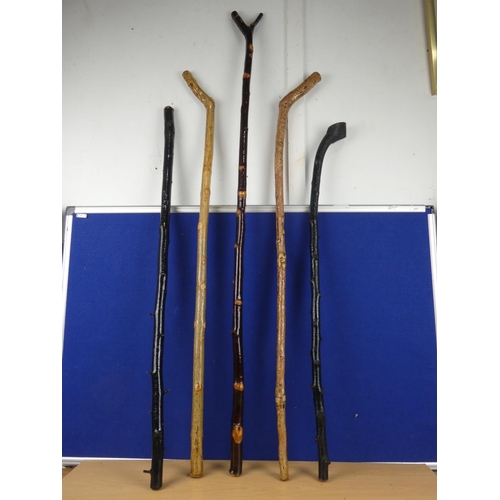 139 - An assortment of walking sticks.