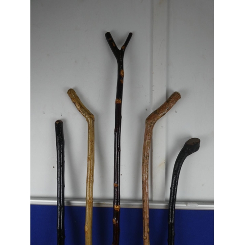 139 - An assortment of walking sticks.