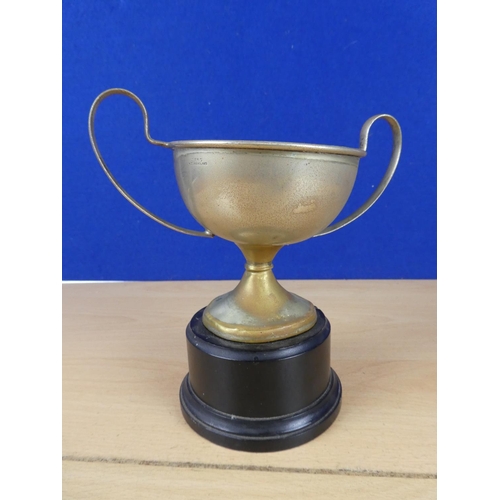 154 - A silver plated presentation cup for 'Carrick on Shannon Regatta dated 1954'.