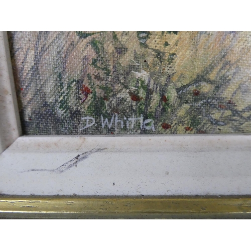 199 - A framed oil painting signed D Whitla, measuring 46cm x 36cm in size.