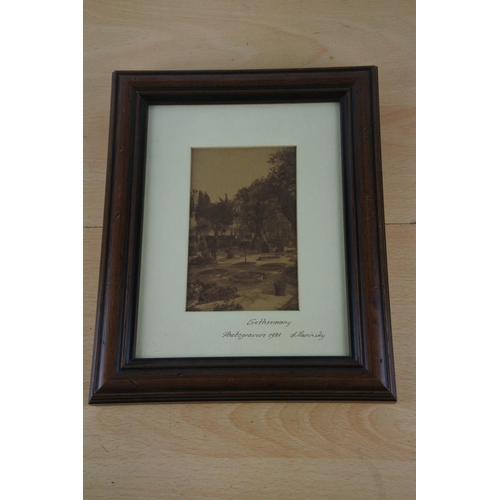 64 - A framed 'Gethsemany' picture by Shlomo Narinsky. Approx 20x15cm.