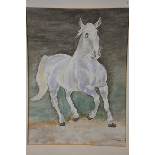 83 - A framed watercolour of a horse by Mary McIntosh. Approx 49x39cm.