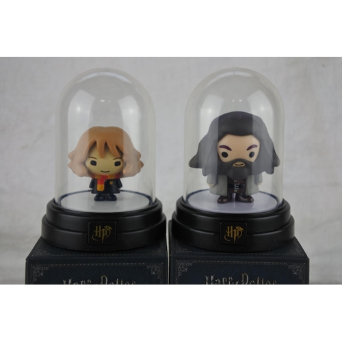 751 - Two boxed Harry Potter lights.