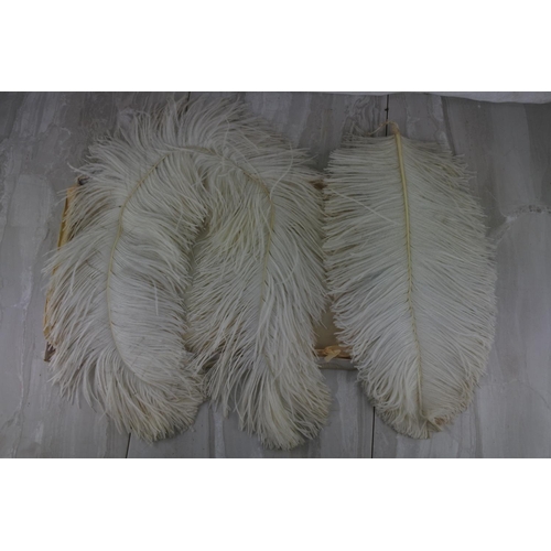 769 - An assortment of antique Feathers