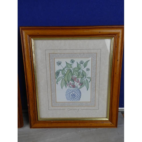 1067 - A pair of framed prints of flowers.