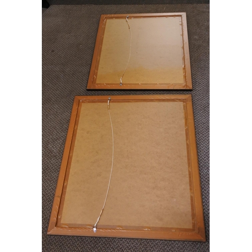 1189 - A pair of framed mountain scene pictures. approx 52x62cm.