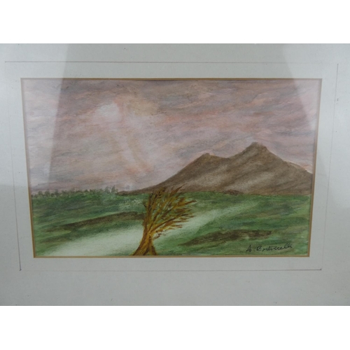 802 - A framed watercolour, signed by the Artist. approx 26x34cm.