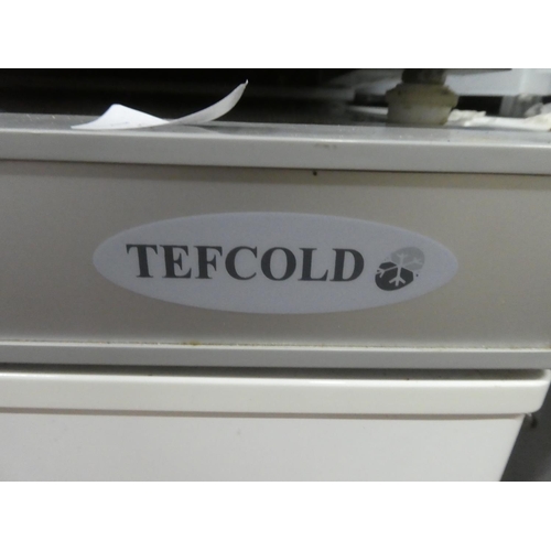 1349 - A Tefcold industrial fridge.