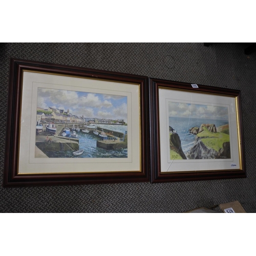 648 - Two framed pictures 'Carrick-a-Rede Rope Bridge' and 'Portstewart' by N Wilson (a/f). Approx 60x49cm... 