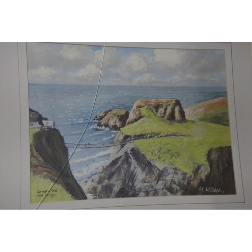 648 - Two framed pictures 'Carrick-a-Rede Rope Bridge' and 'Portstewart' by N Wilson (a/f). Approx 60x49cm... 
