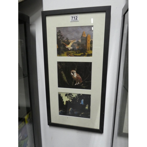 712 - A framed picture of owls. Approx 30x59cm.