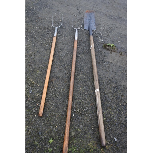 1259 - An assortment of garden tools.