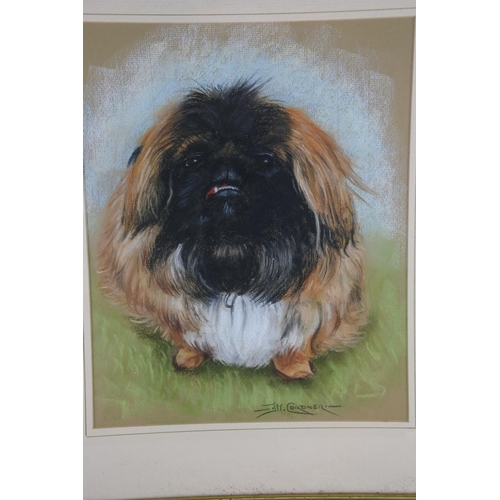 274 - A framed pastel drawing of a dog signed J H Cordner.  Approx 39x47cm.