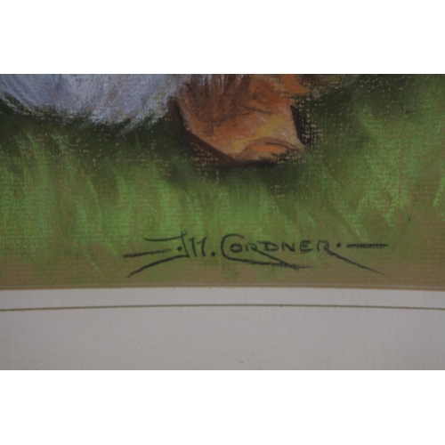 274 - A framed pastel drawing of a dog signed J H Cordner.  Approx 39x47cm.