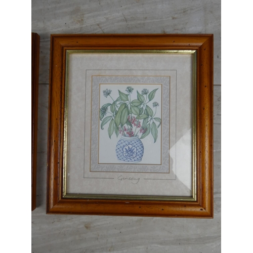 1046 - Two framed floral prints.