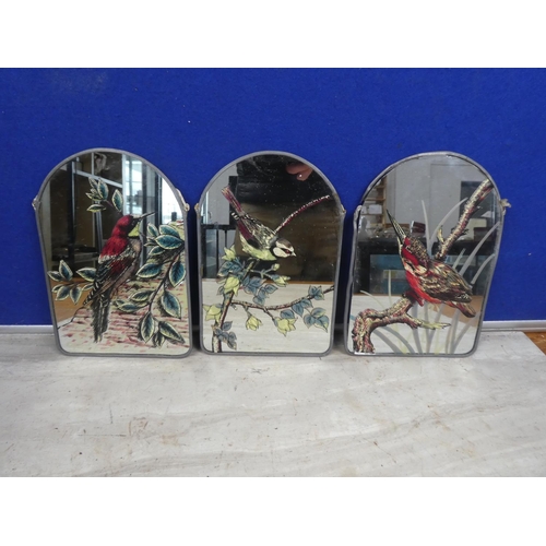 103 - A set of three hand painted mirror plaques with bird detail (one a/f).  Approx 14x20cm.