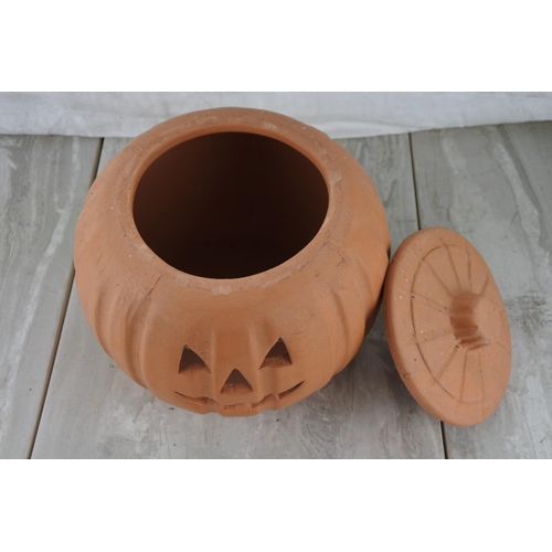 222 - A terracotta pumpkin pot.