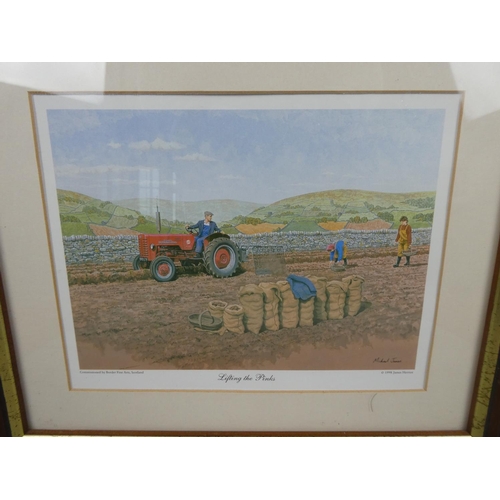 291 - A framed Border Fine Arts print 'Lifting the Pinks' - by Michael Jones.  Approx 34x29cm.