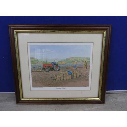 291 - A framed Border Fine Arts print 'Lifting the Pinks' - by Michael Jones.  Approx 34x29cm.