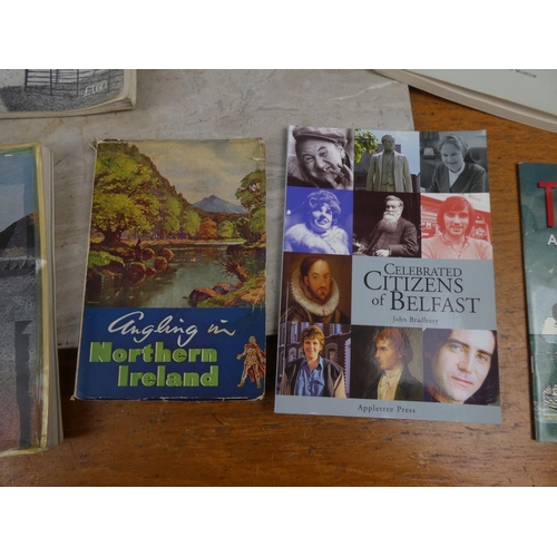 294 - A collection of Irish themed historical books.