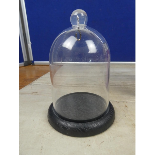 441 - Two plastic pocket watch displays on wooden stands.