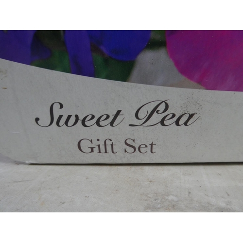 445 - A Sweet Pea gift set with terracotta pots and seeds.