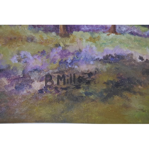 590 - A vintage framed oil painting 'Highland Cattle' signed Barbara Mills. Approx 75x50cm.