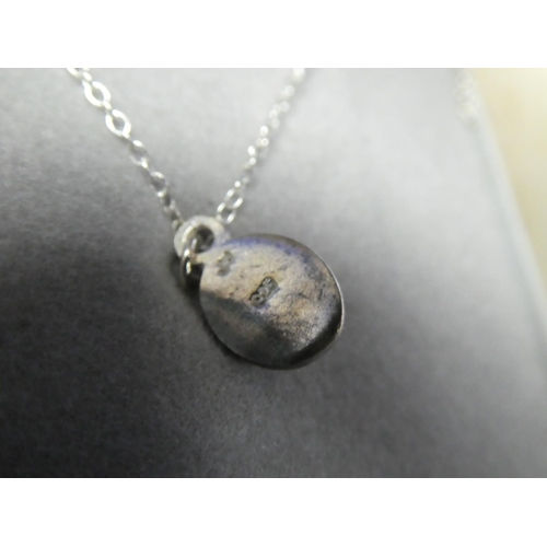 908 - A sterling silver chain and ladybird pendant.