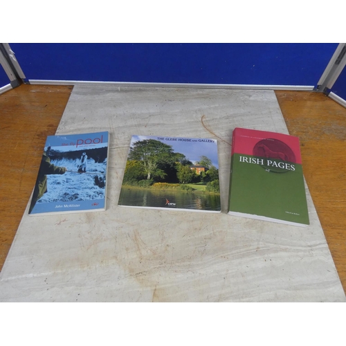 671 - 'The Glebe House and Gallery' book, 'The Fly Pool and Other Stories' by John McAllister and 'Irish P... 