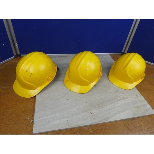 1117 - Three JSP hard hats.