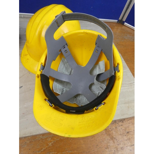 1117 - Three JSP hard hats.