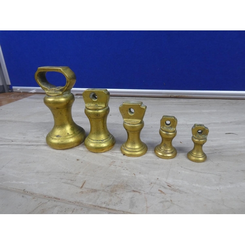 81 - A set of five brass weights.