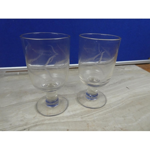 97 - Two antique rummer glasses with etched designs.