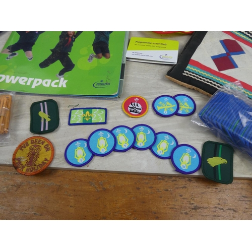 210 - A large collection of Scout's and Brownie's leaflets, badges, flags and more.