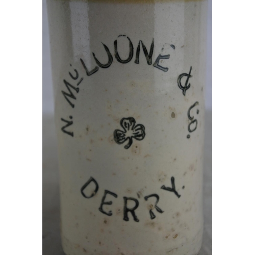 164 - An antique N McLoone & Co, Derry stoneware beer bottle.