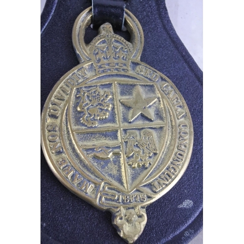 108 - A Royal Air Force brass plaque and another horse brass.