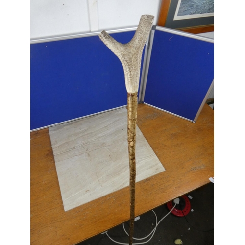 567 - A horn handled shepherd crook.  Approx 163cm.