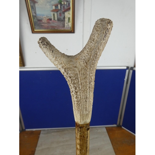 567 - A horn handled shepherd crook.  Approx 163cm.