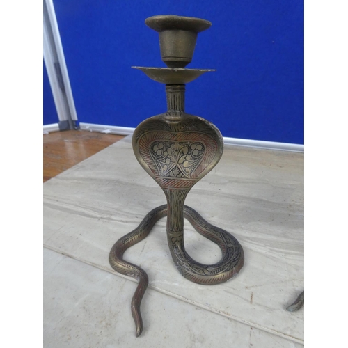 747 - A pair of brass candlesticks in the style of snake with decorative detail.  Approx 18cm.