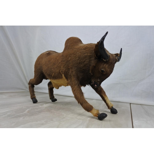 151 - A stuffed and fur covered Spanish Bull figure.