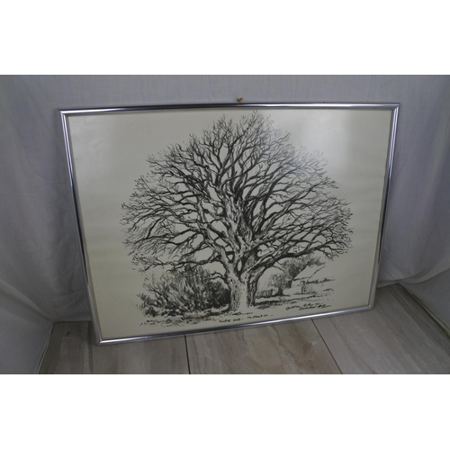 158 - A large framed signed print of an oak tree, by artist Adrian Hill, Approx 65x49cm.