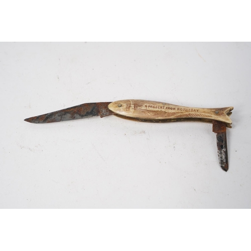 239 - A Prolift pocket knife modelled as a fish, reading, 'A Present from Rothesay'.