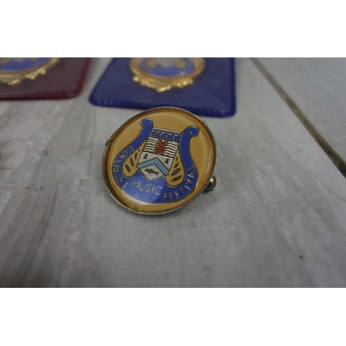 435 - A collection of Coleraine Music Festival medals and more.