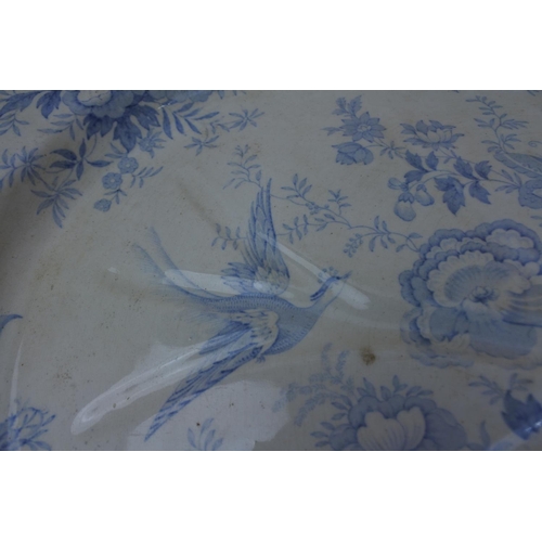 1168 - A stunning antique blue and white turkey platter.