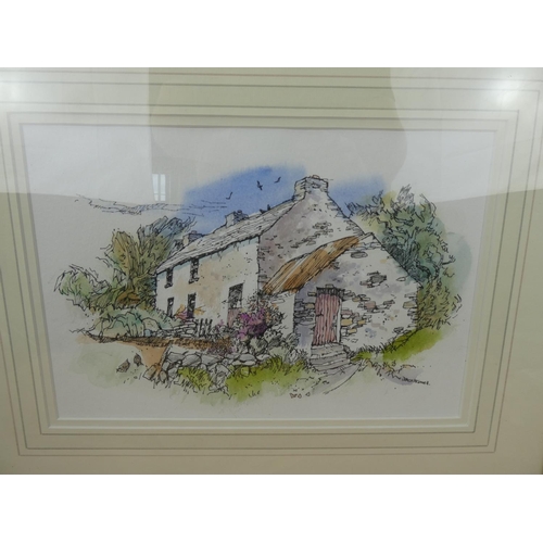 537 - A stunning gilt framed pen, ink and watercolour painting 'Old Farmhouse, Horn Head, Dunfanaghy' by J... 