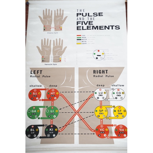 215 - A vintage 'The Pulse and the Five Elements' wipeable display chart.