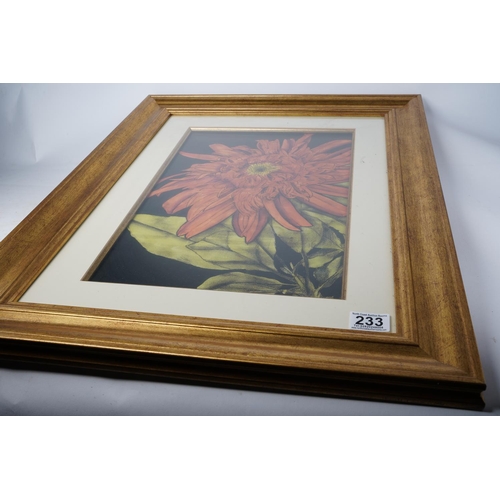 233 - A large gilt framed picture of a flower, measuring 53x68cm.