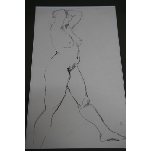 272 - A framed pencil sketch of a nude by Frank Nelson, measuring 38x58cm.