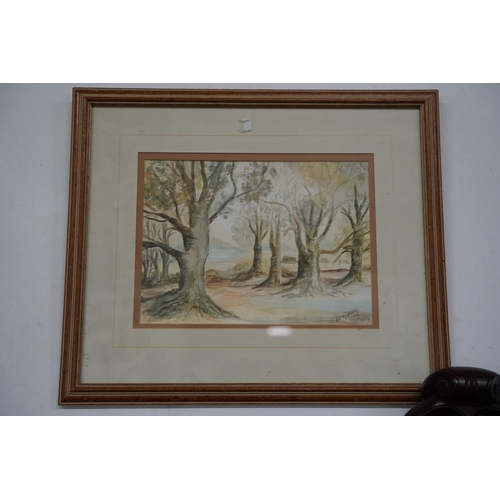 117 - A framed watercolour of a forest scene signed A D Miskelly.